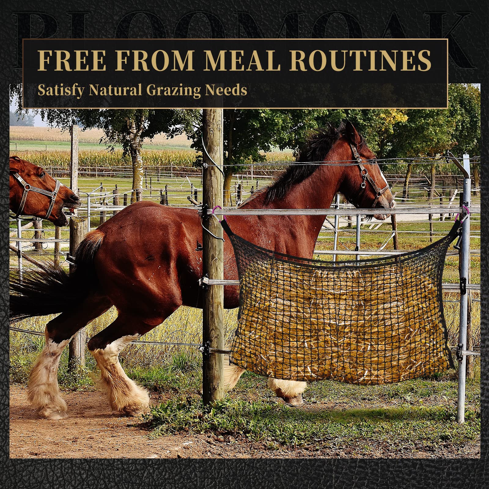 Bloomoak hay net with four carabiner clips for quick, secure hanging