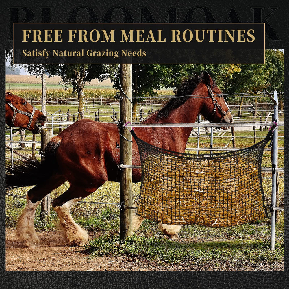 Bloomoak hay net with four carabiner clips for quick, secure hanging