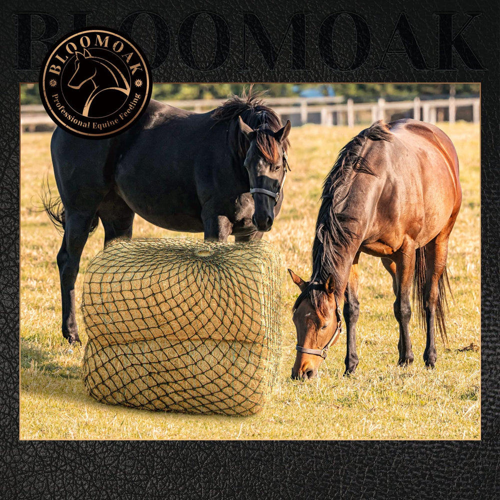 Bloomoak slow hay net safety best-practice with high-hanging setup