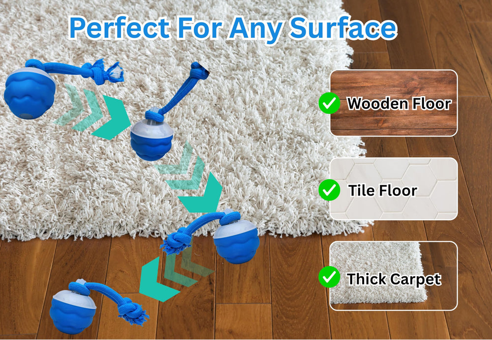Bloompaw dog ball with built-in sound attracts dogs for engaging play sessions.