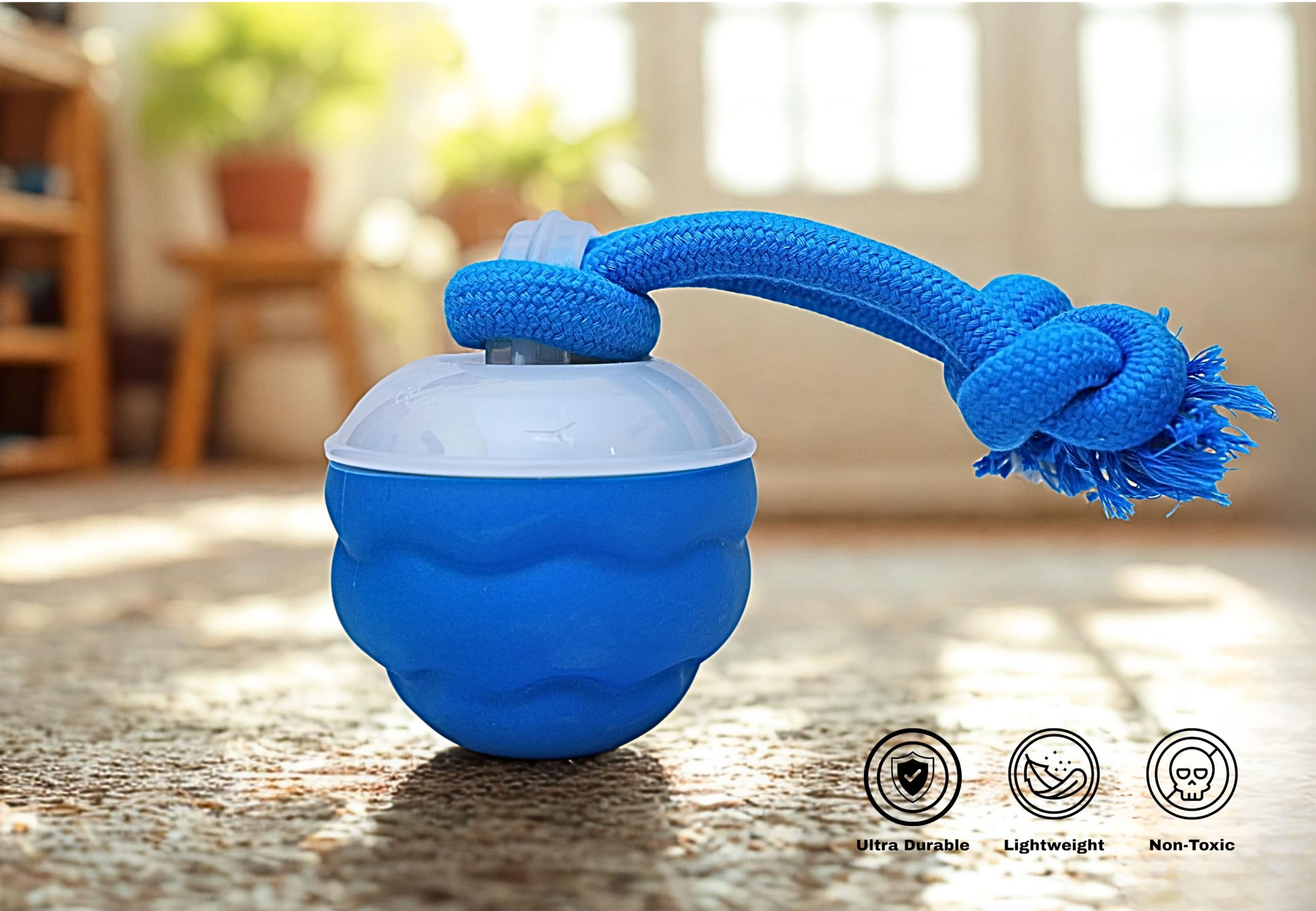 Bloompaw gift-ready interactive ball for dog lovers and families.