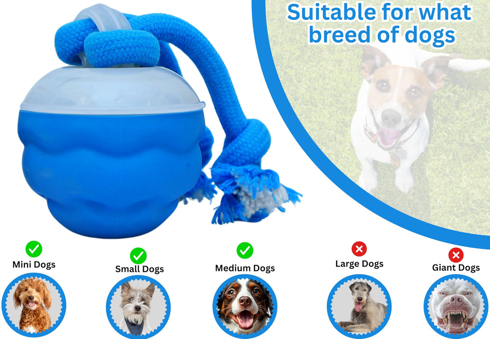Bloompaw USB rechargeable battery powers hours of fun with quick recharge.