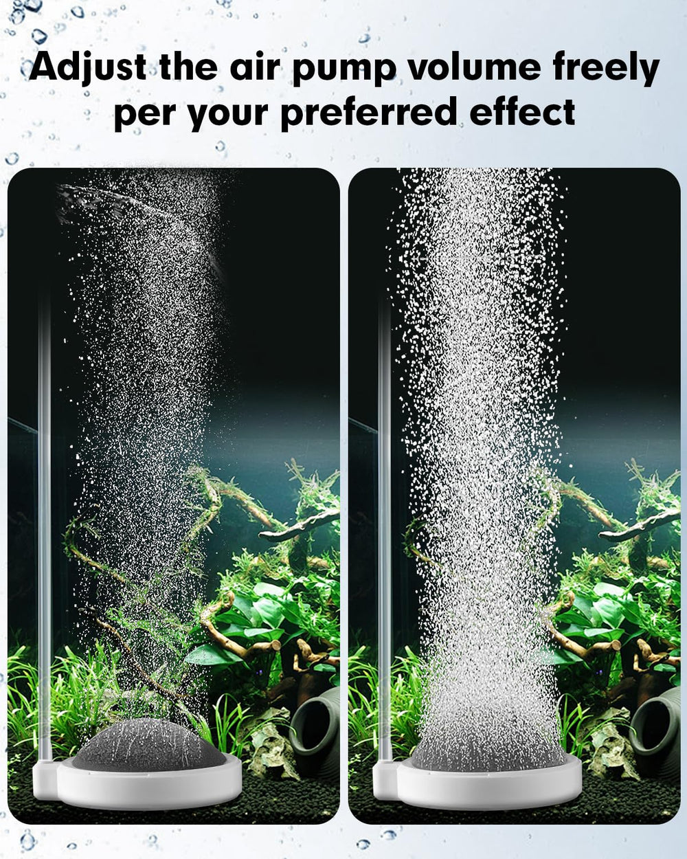 BLOTFISH air stone positioned at tank bottom shows durable, non-clogging design.
