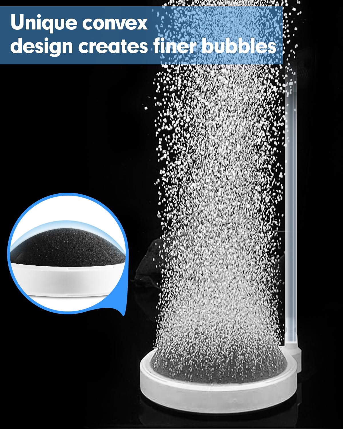 BLOTFISH air stone in tank setup demonstrates compact aeration for small to mid tanks.