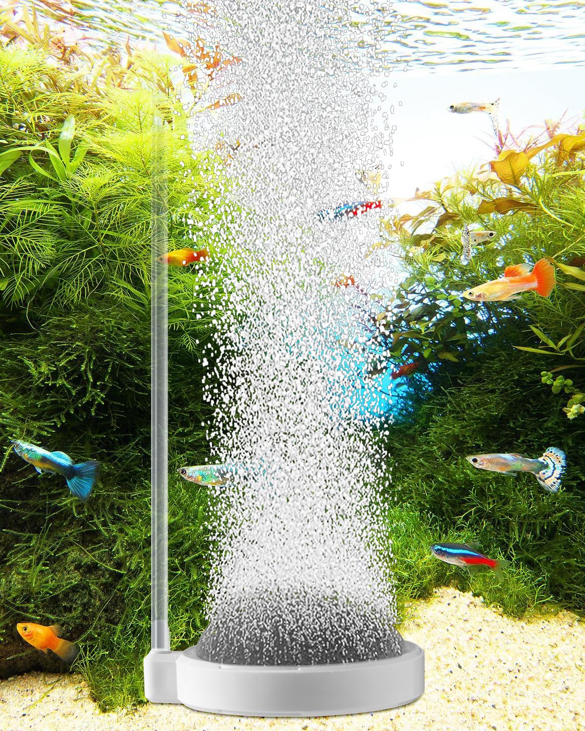 BLOTFISH nano bubble aerator close-up highlights high-density bubbles for oxygen boost.