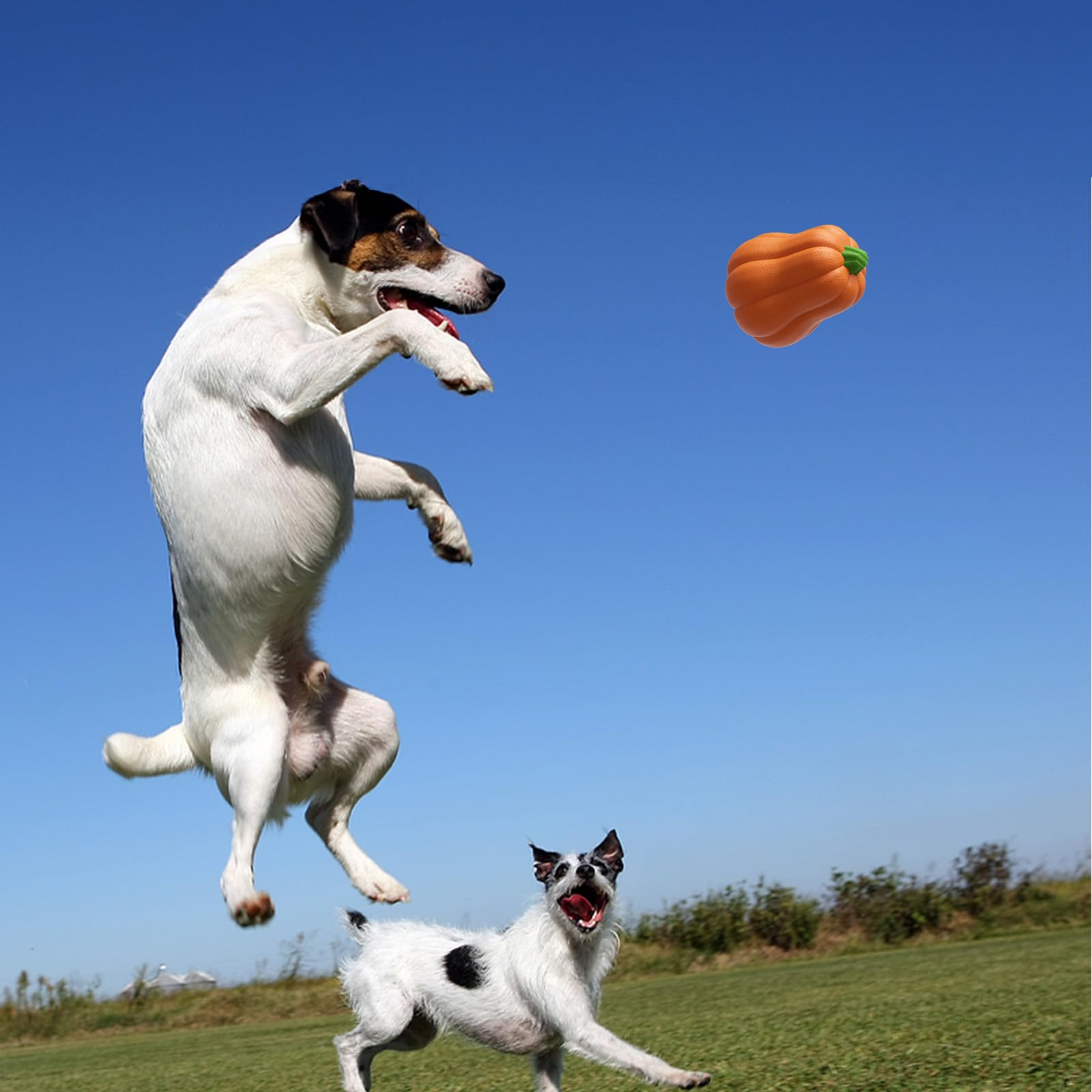 BluBrk pumpkin design makes a cute, gift-ready dog toy option.