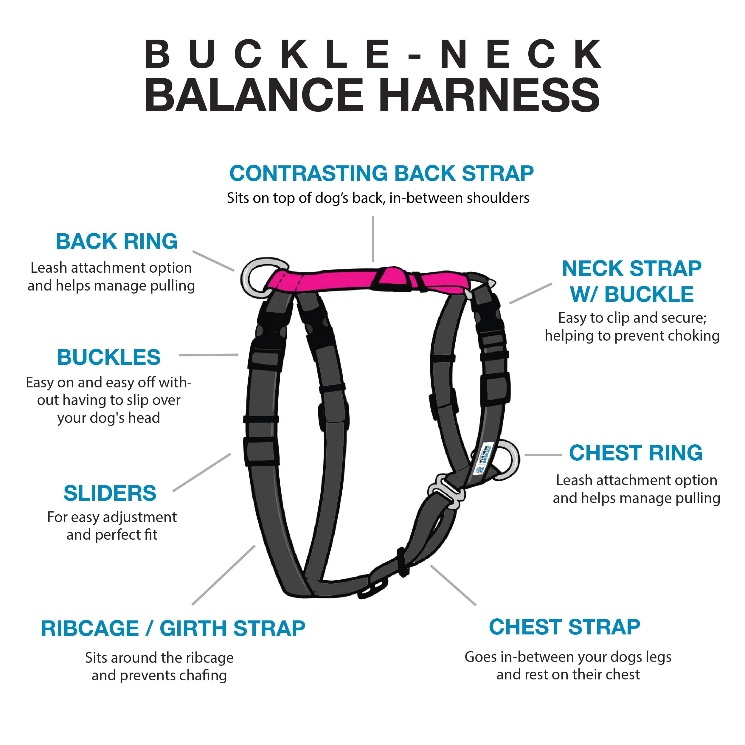 Blue-9 Balance Harness 6-point adjustment ensures precise, secure fit for many dogs.