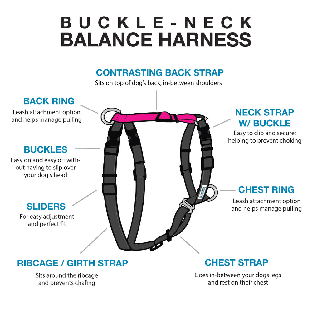 Blue-9 Balance Harness 6-point adjustment ensures precise, secure fit for many dogs.