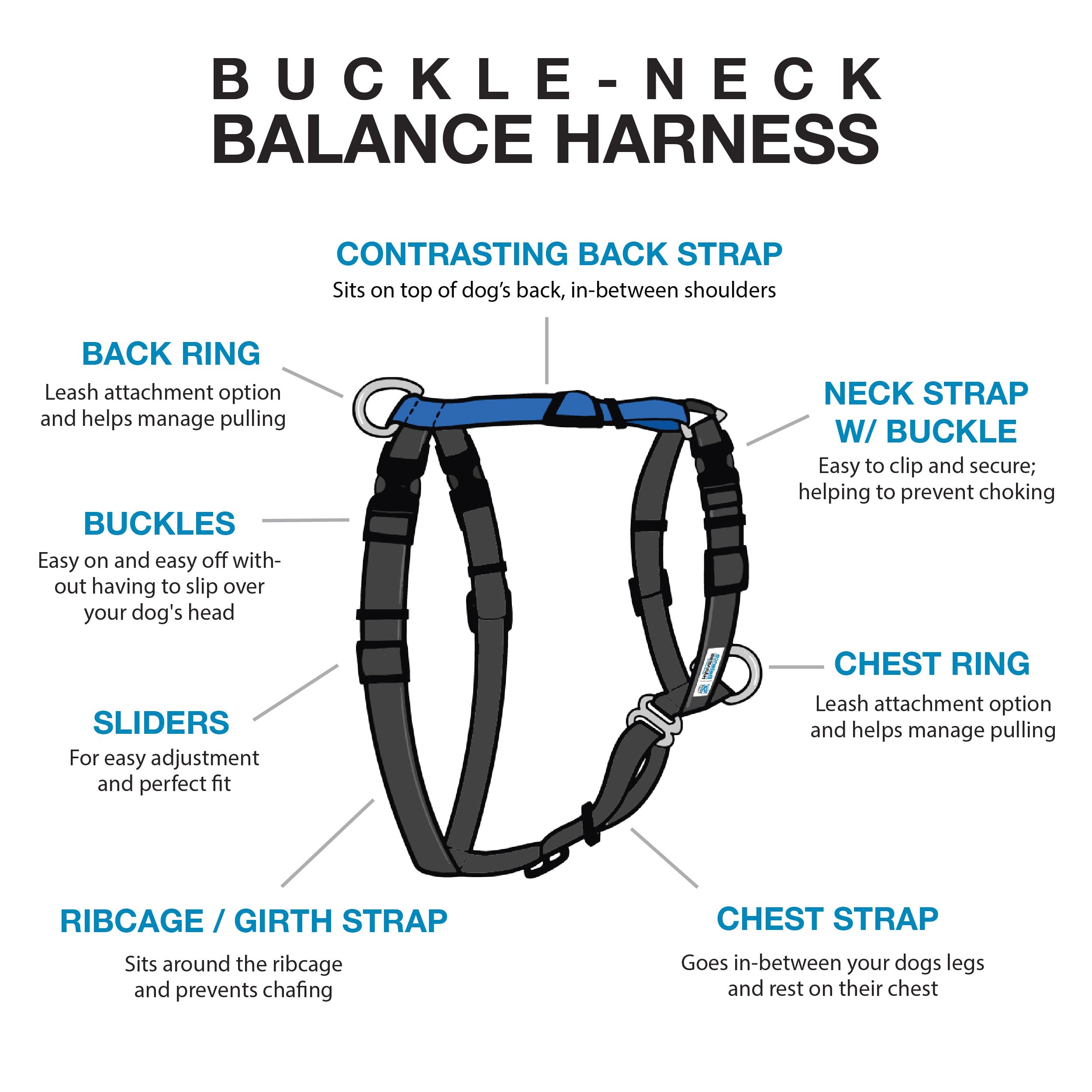 Blue-9 Buckle-Neck Balance Harness back D-ring enables controlled walks with versatile leash setup.