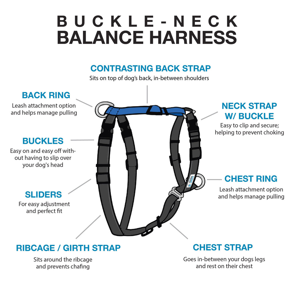 Blue-9 Buckle-Neck Balance Harness back D-ring enables controlled walks with versatile leash setup.