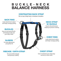 Blue-9 Buckle-Neck Balance Harness back D-ring for relaxed leash control on walks.