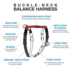 Blue-9 Buckle-Neck Balance Harness back view, dual D-rings for control.