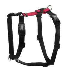 Blue-9 Buckle-Neck Balance Harness front view, adjustable fit for training.