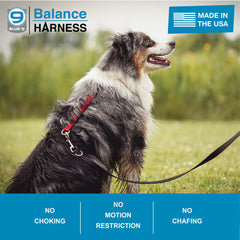Blue-9 Buckle-Neck design with front chest clip helps reduce pulling during walks.