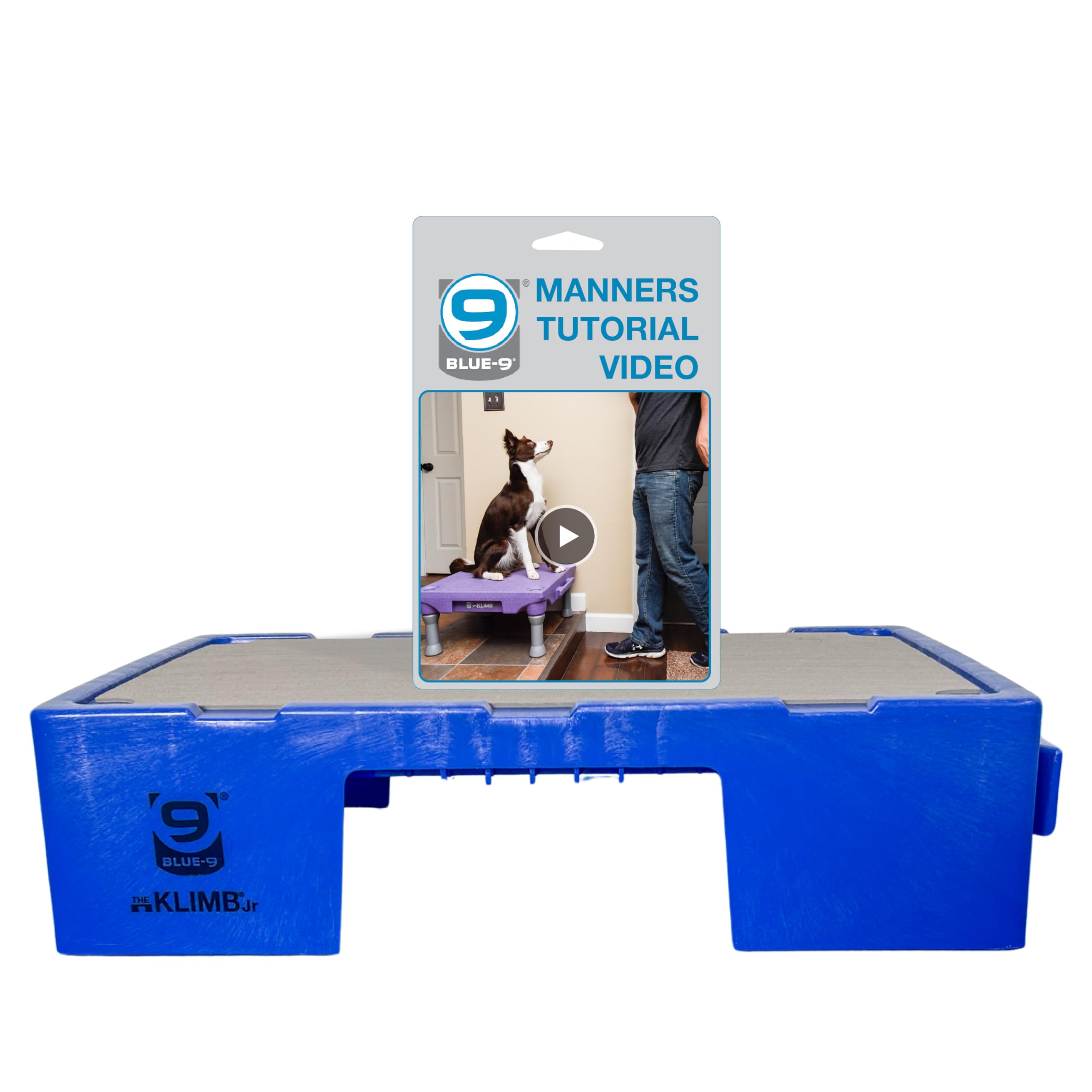 Blue-9 KLIMB Jr. outdoor-ready training platform in backyard for dog practice