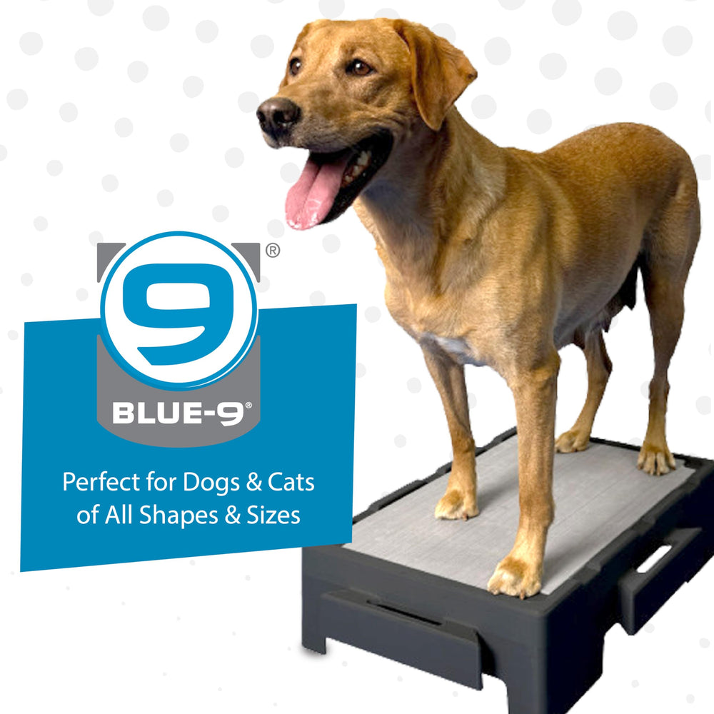 Blue-9 KLIMB Jr. compact design fits inside most rooms