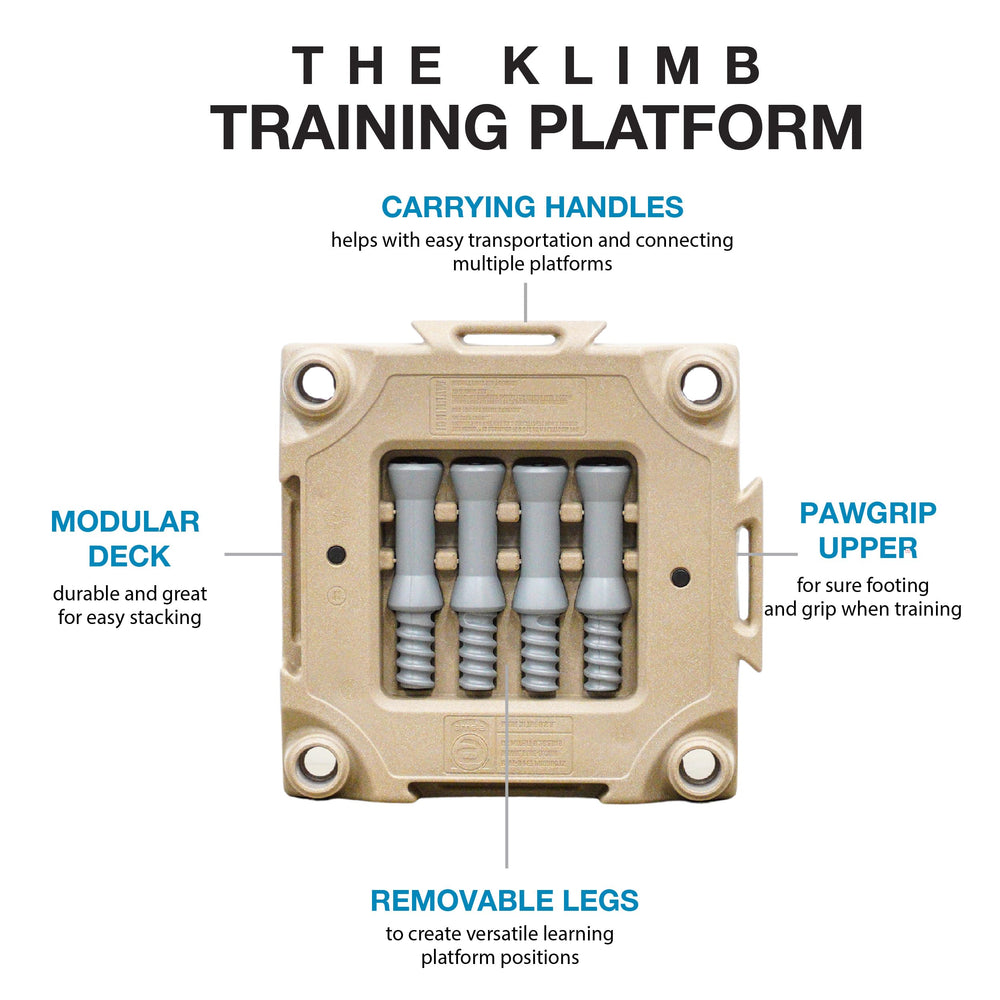 Blue-9 KLIMB pawgrip surface enhances secure footing during exercises.