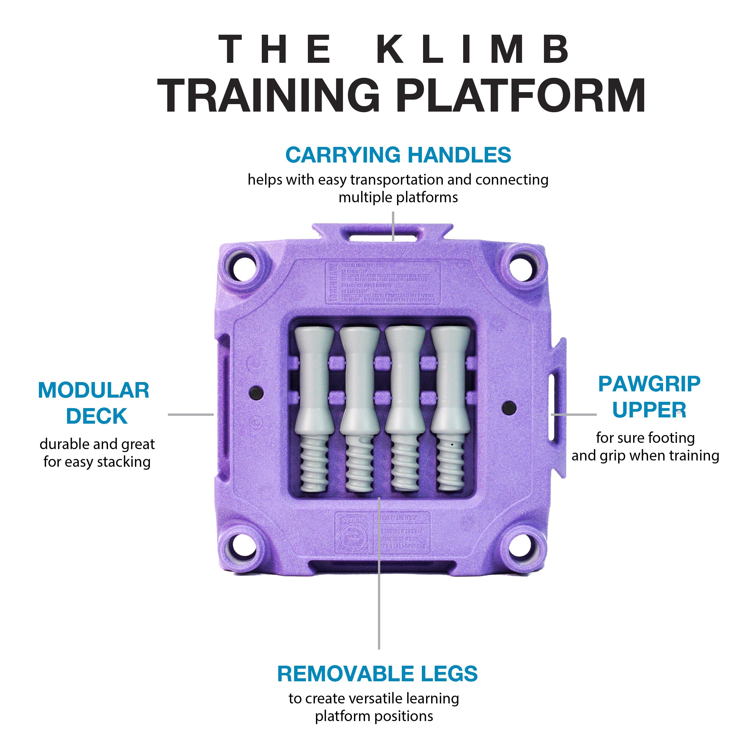 Blue-9 KLIMB pawgrip surface provides secure footing during indoor sessions.
