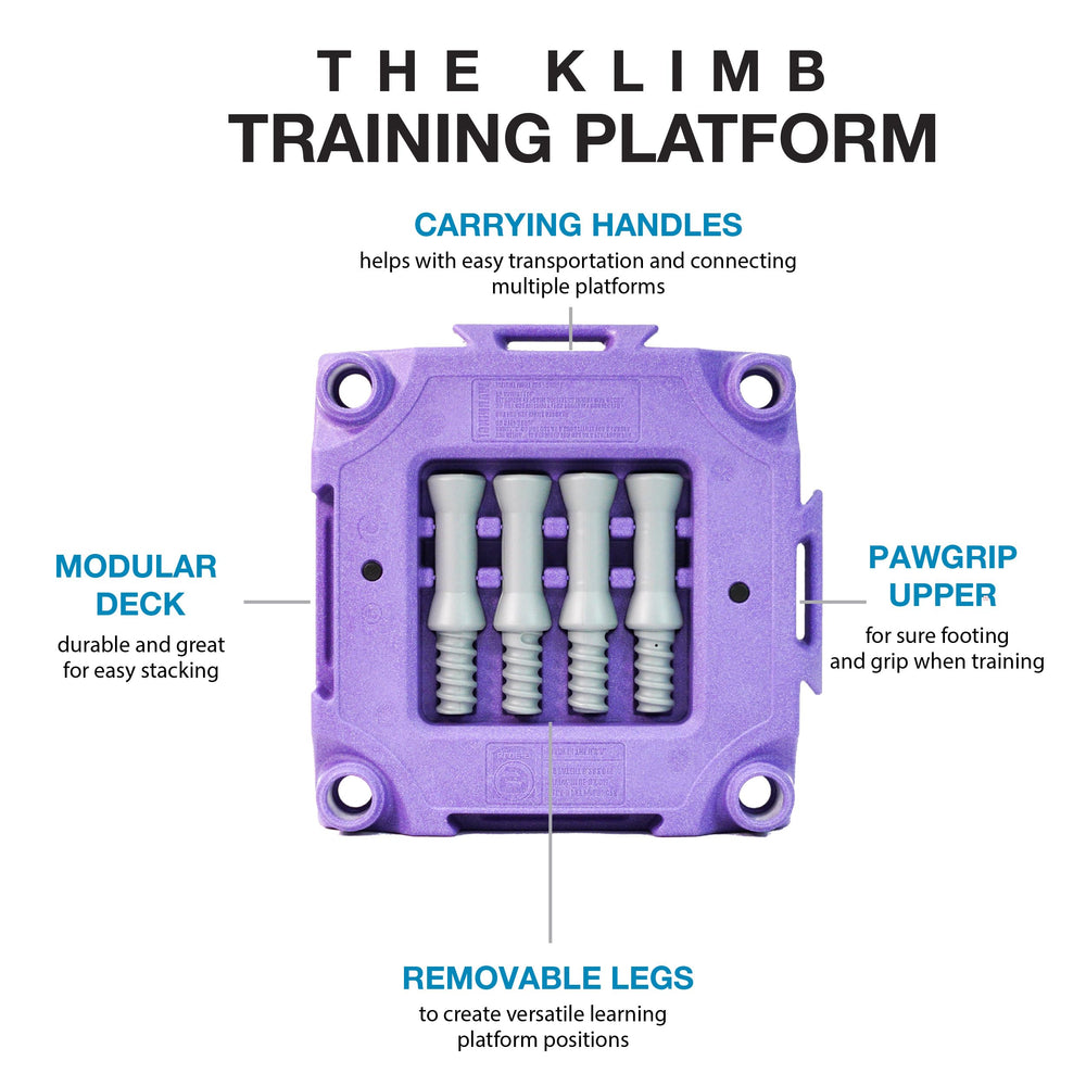 Blue-9 KLIMB pawgrip surface provides secure footing during indoor sessions.