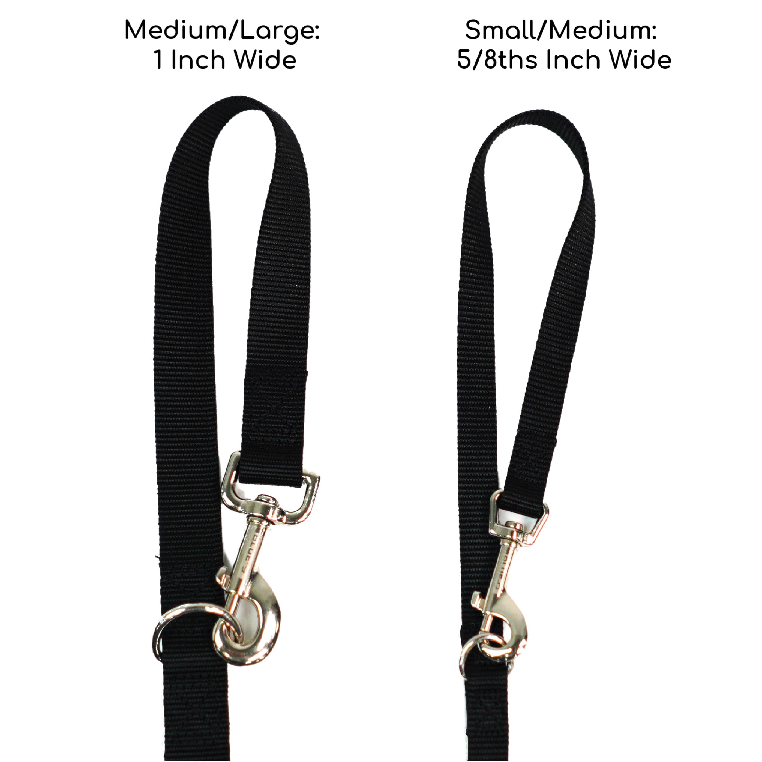 Blue-9 Lead two-attachments training clip shows dual-control setup for front and back harnesses.