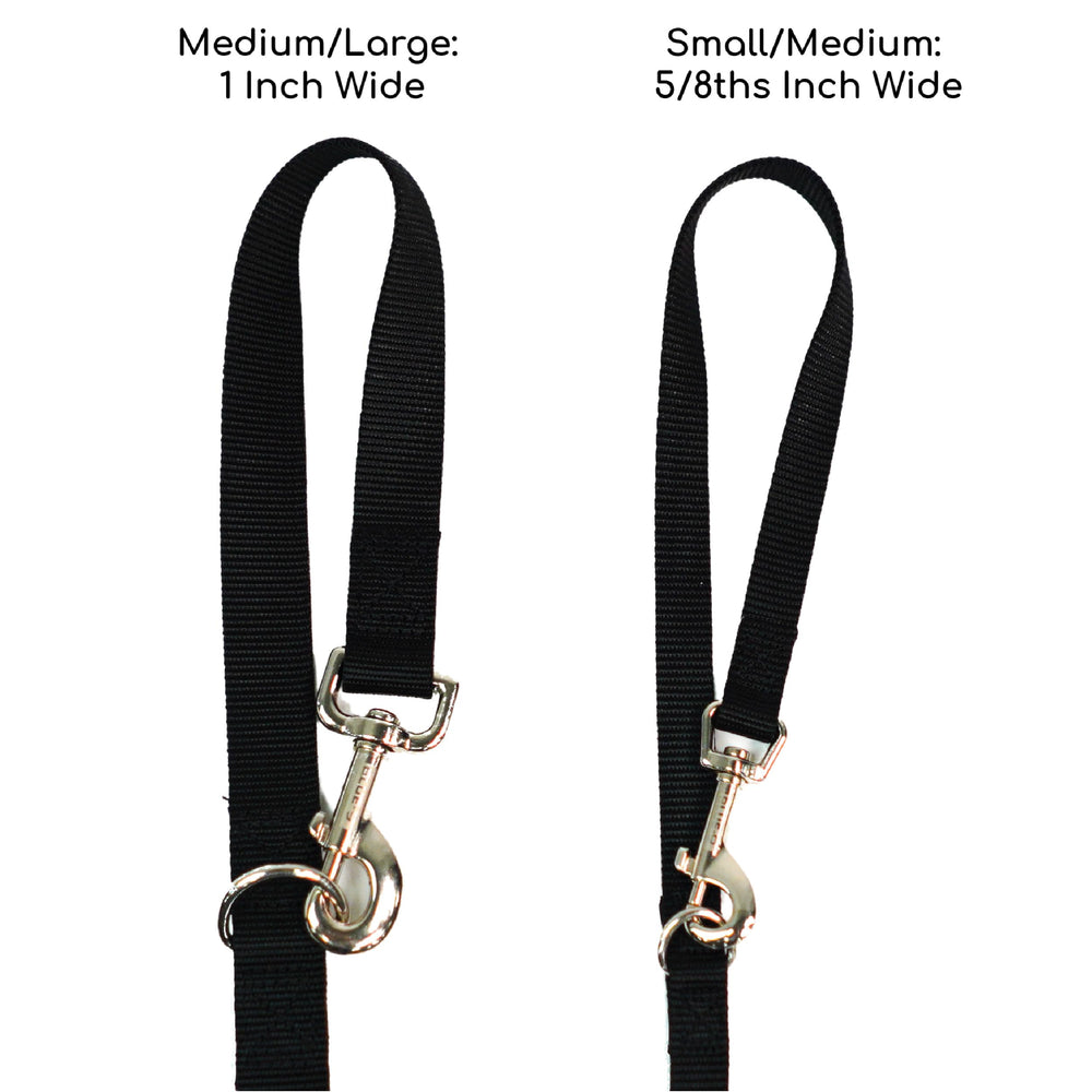 Blue-9 Lead two-attachments training clip shows dual-control setup for front and back harnesses.