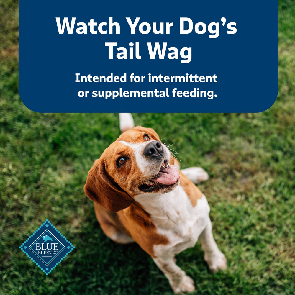 Blue Buffalo Health Bars 16-oz bag on shelf, everyday dog snack.
