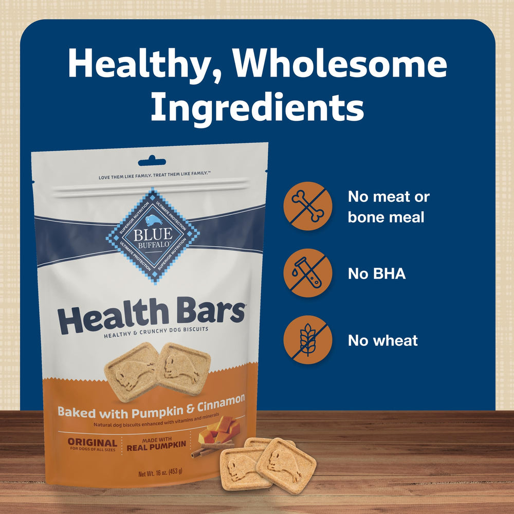 Blue Buffalo Health Bars pumpkin cinnamon biscuit close-up, visible oats and pumpkin.
