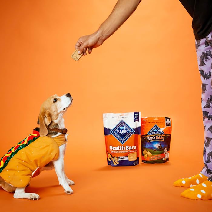 Blue Buffalo Health Bars oven-baked crunch biscuits close-up, crisp texture dogs love.