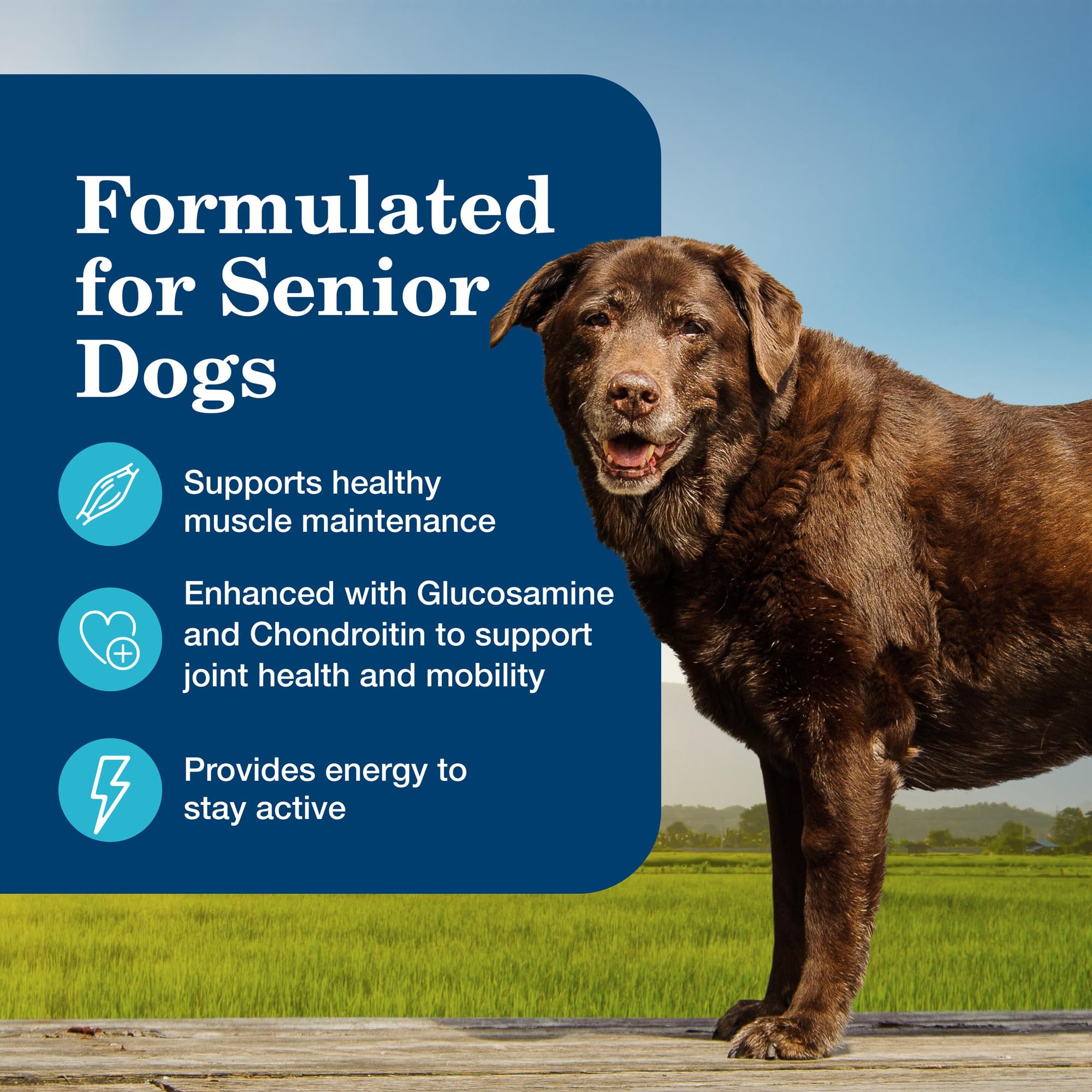 Blue Buffalo Homestyle glucosamine and chondroitin depiction supporting joint health