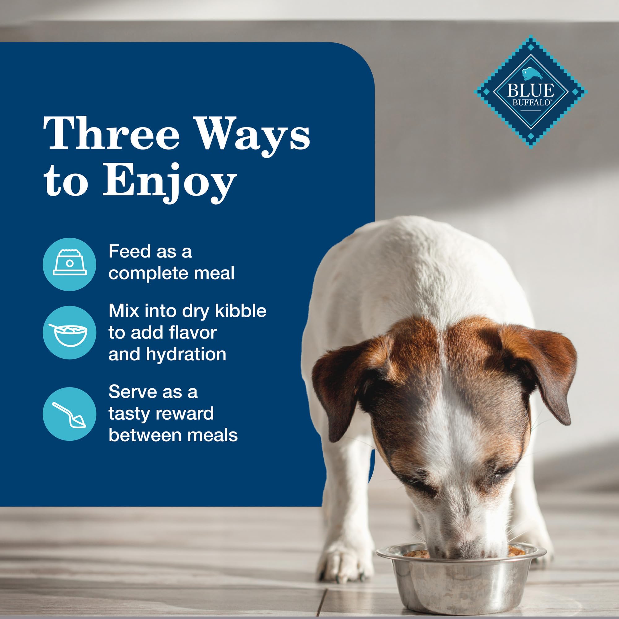 Blue Buffalo Homestyle senior soft meal close-up inviting a gentle chew
