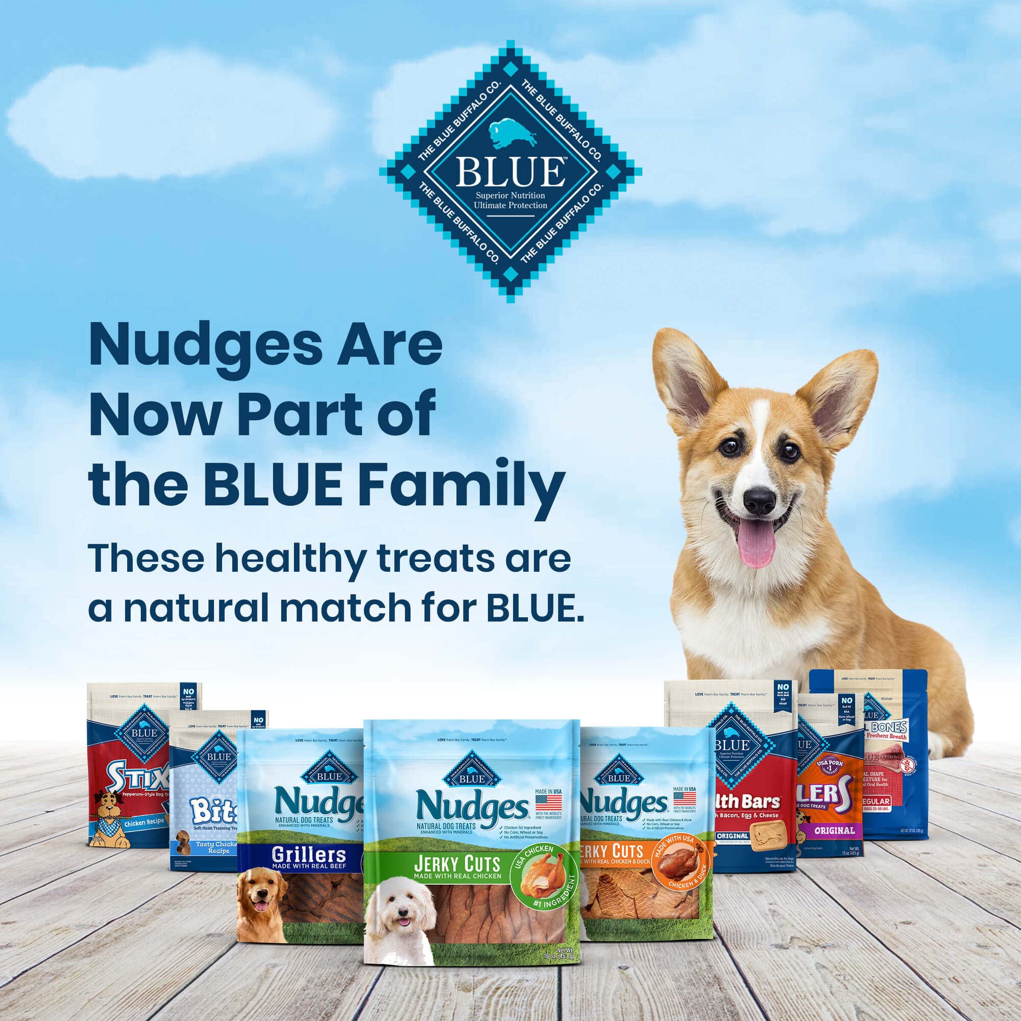 Blue Buffalo Nudges Homestyle Chicken treats close-up, highlighting real chicken and vegetables for flavor.