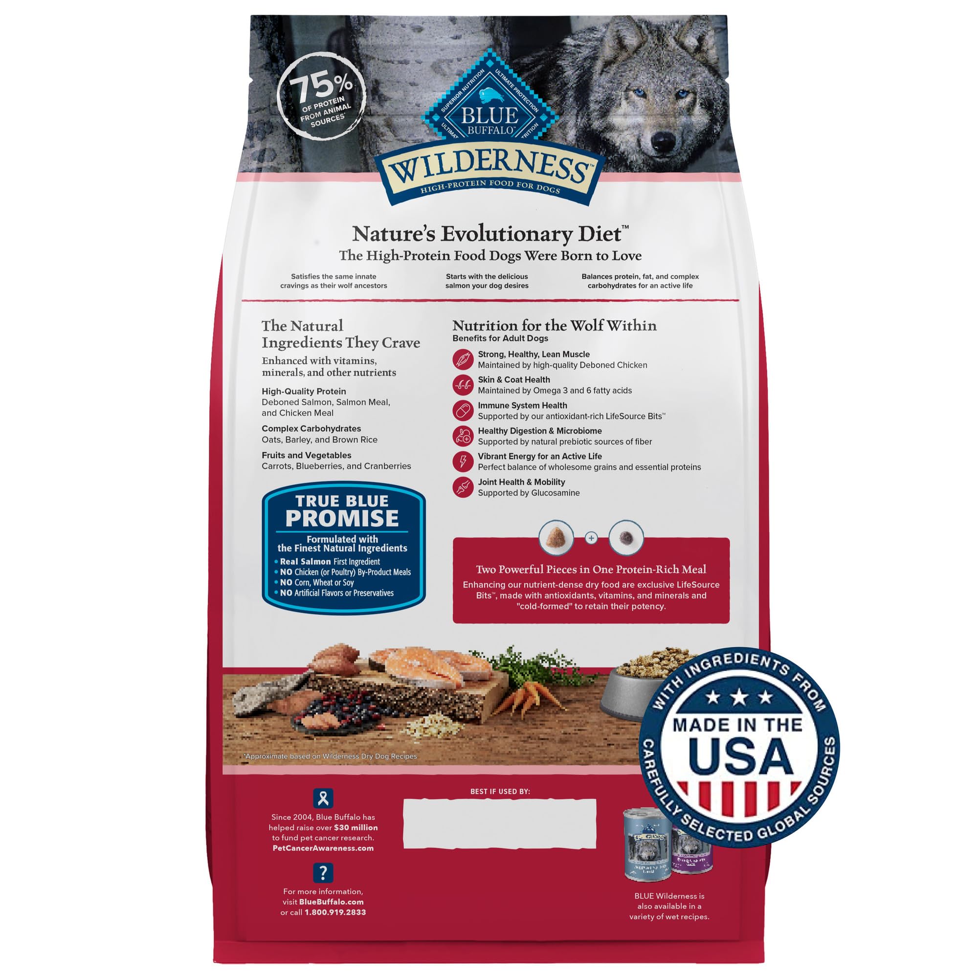 Blue Buffalo Wilderness high-protein-dry-dog-food kibble detail highlighting protein-rich formula