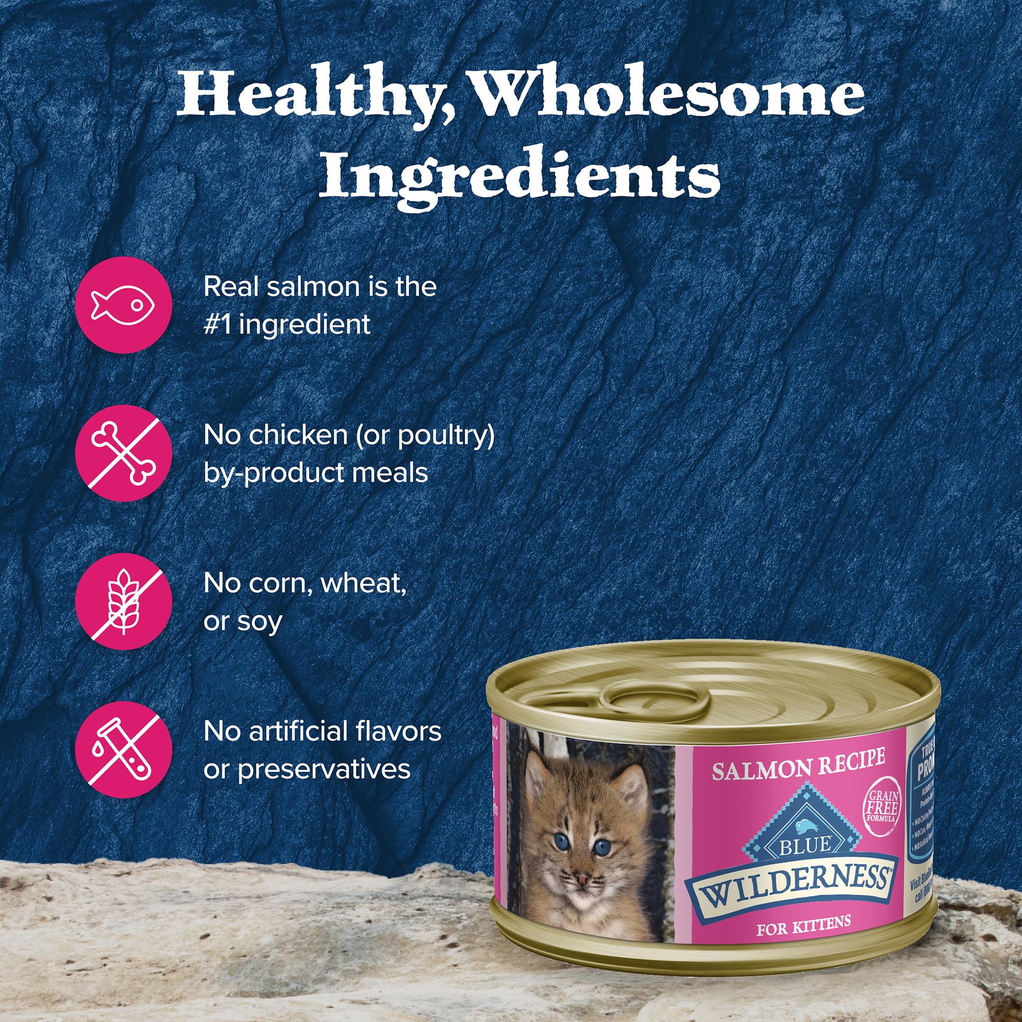 Blue Buffalo Wilderness 24-3oz cans packaging image shows convenient kit packaging.