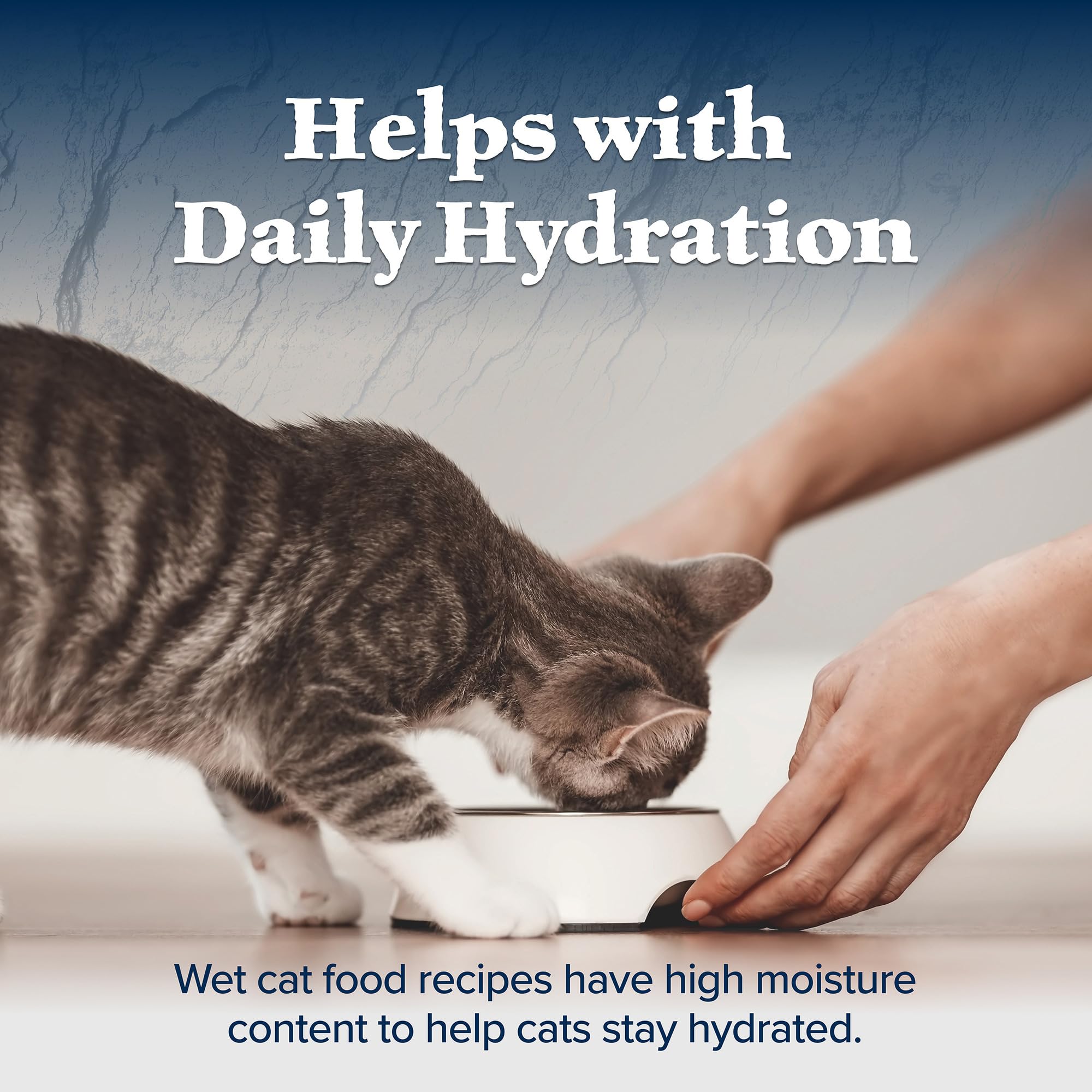 Blue Buffalo Wilderness chicken liver nutrition image highlights included liver for flavor and iron.