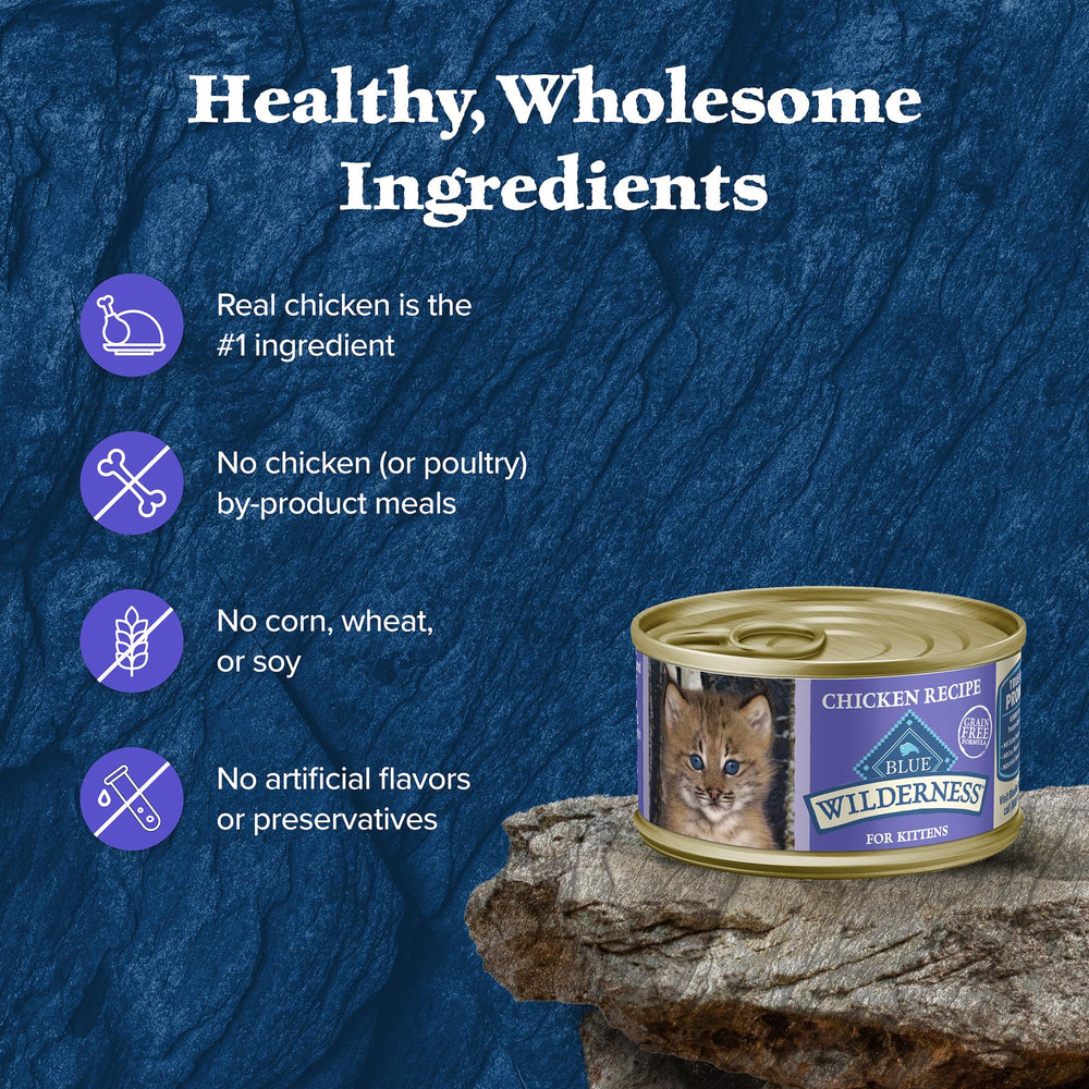 Blue Buffalo Wilderness pate mousse close-up shows appetizing texture for kittens.