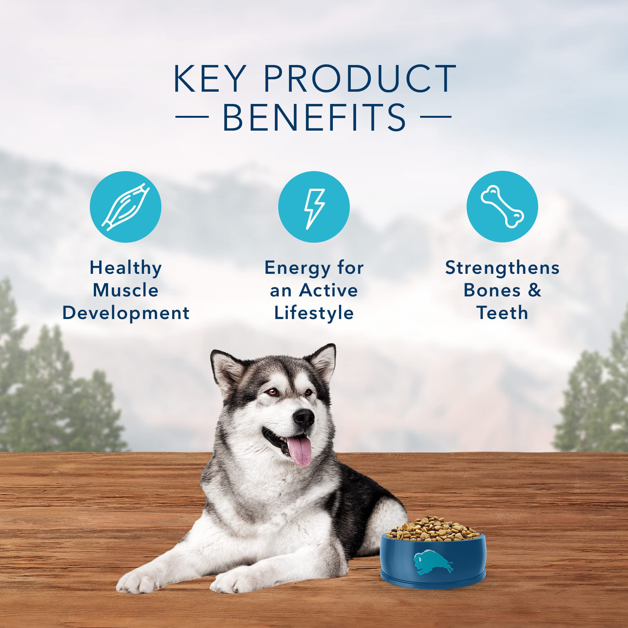 Blue Buffalo Wilderness omega-3-6 coat care image shows healthy skin and shine
