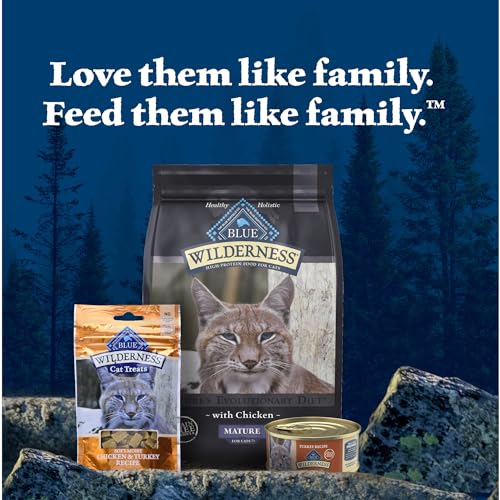 Blue Buffalo Wilderness pate texture closeup showing smooth consistency