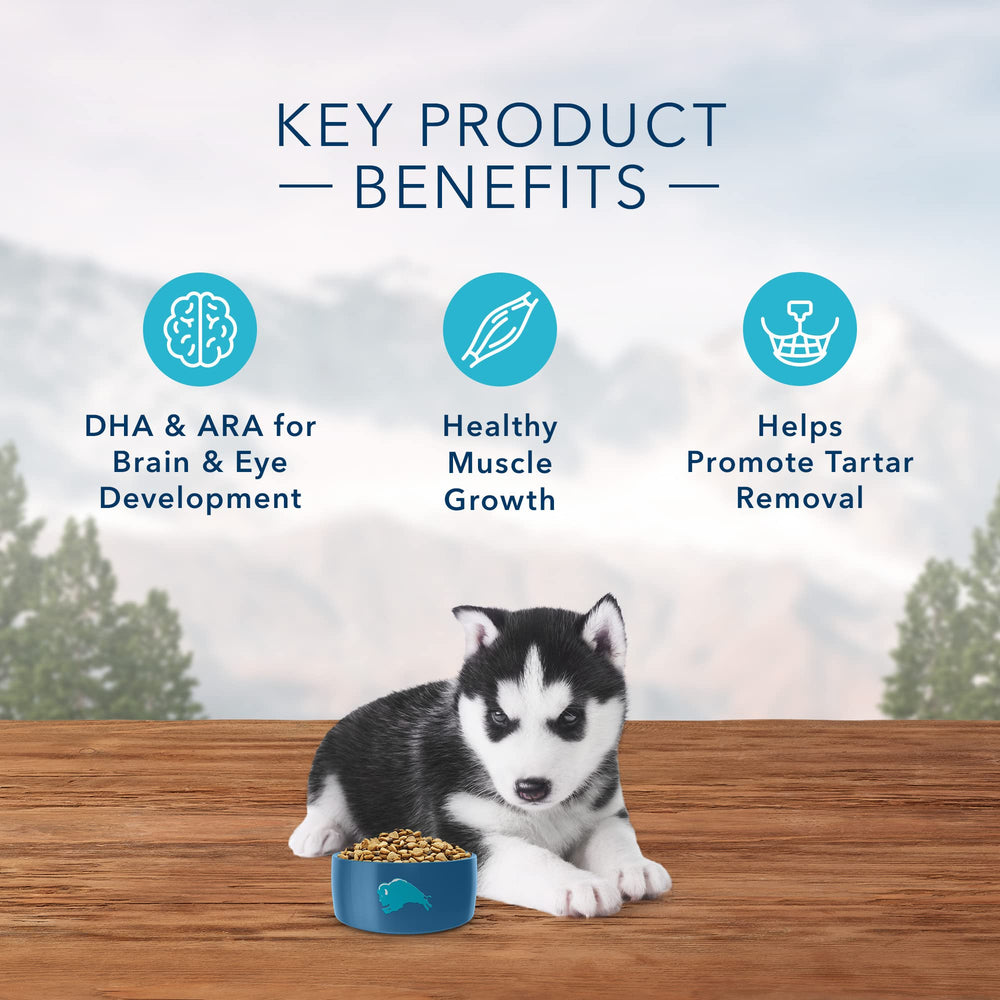 Blue Buffalo Wilderness puppy meal served in a bowl