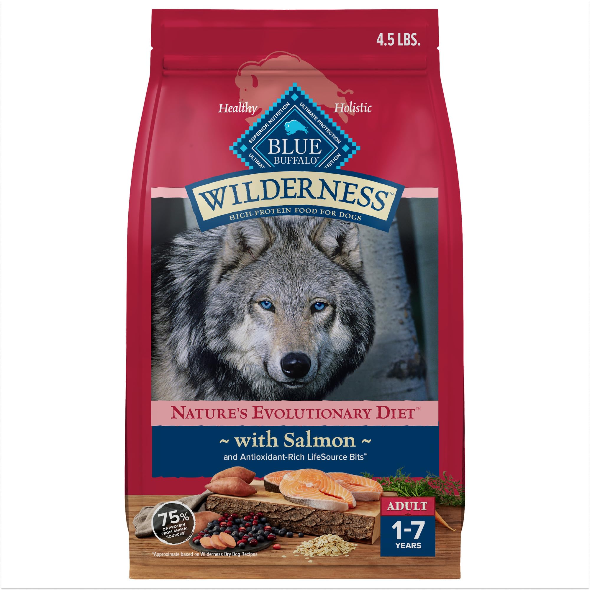 Blue Buffalo Wilderness salmon-first-ingredient close-up showing real protein for active dogs