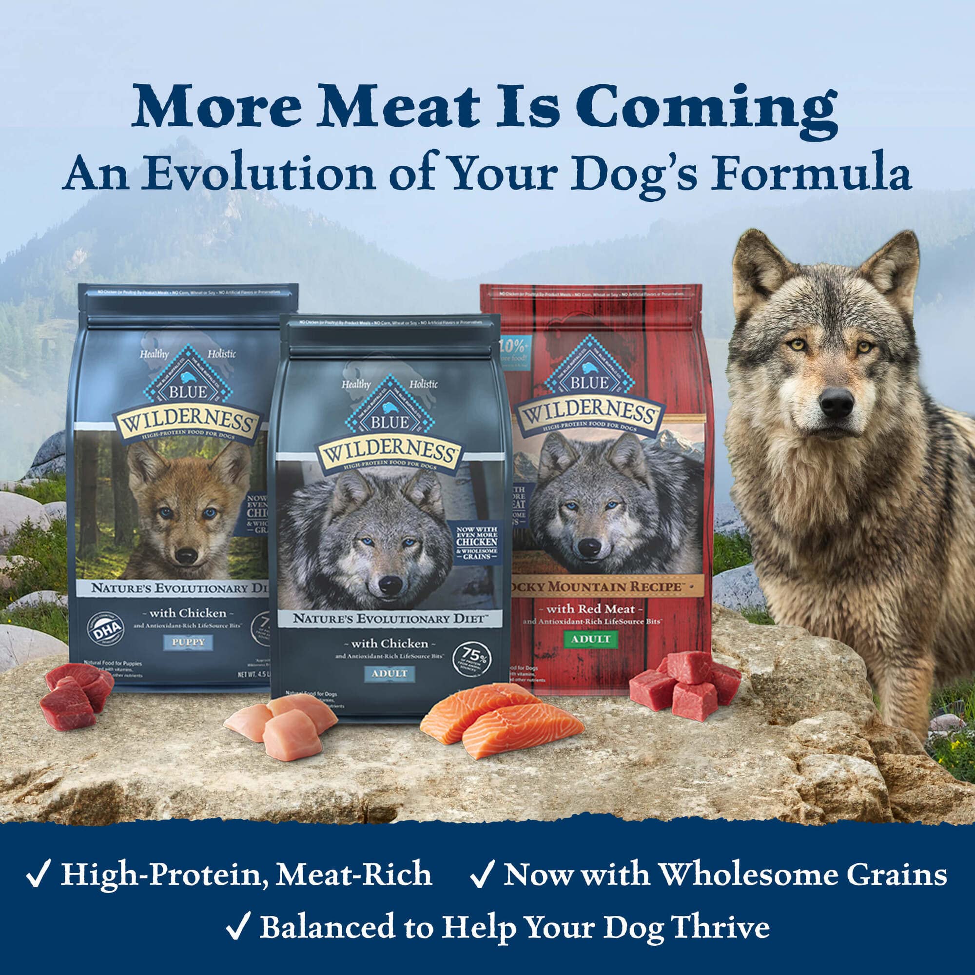 Blue Buffalo Wilderness salmon kibble closeup emphasizes tasty flavor and crunchy texture