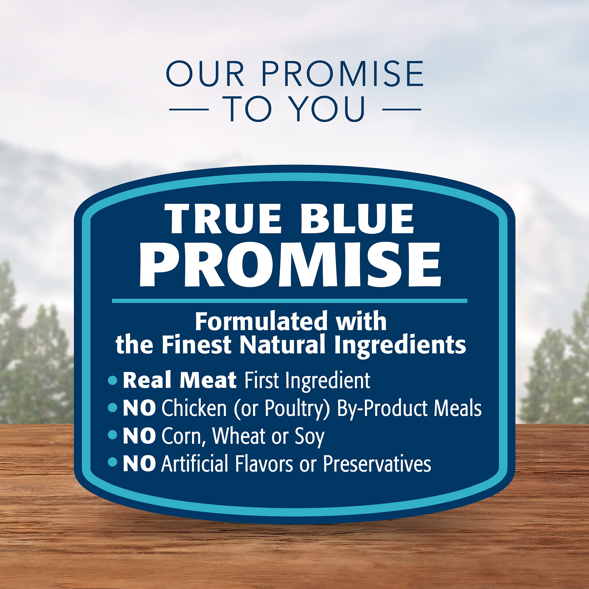 Blue Buffalo Wilderness Trail Toppers hearty gravy closeup showcases real meat