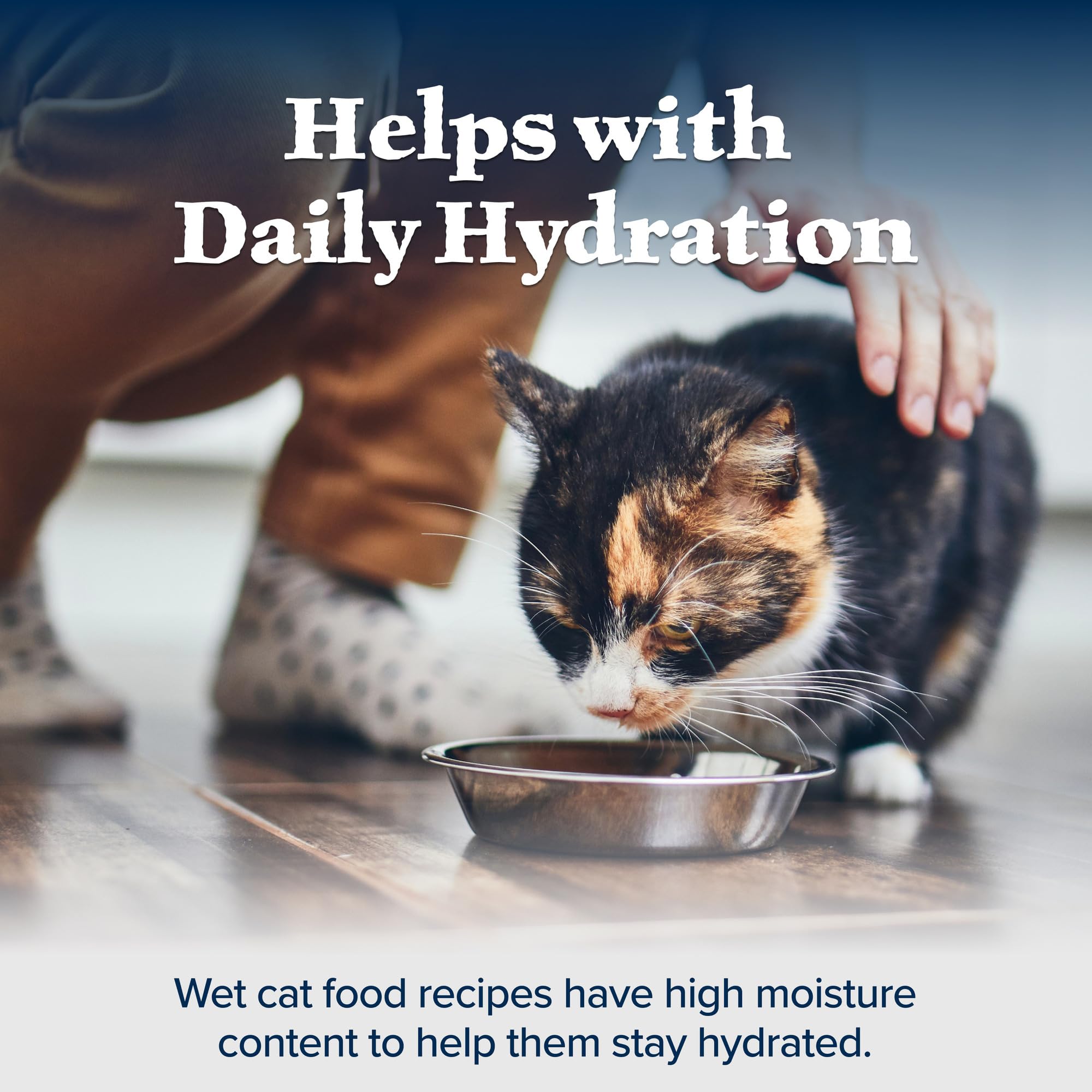 Blue Buffalo Wilderness no-corn-wheat-soy image supports sensitive tummies.