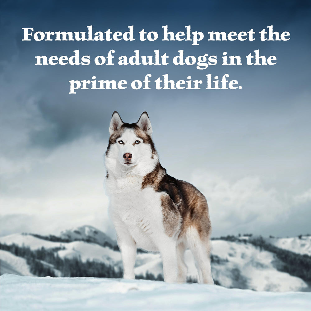 Blue Buffalo Wilderness high-protein dog food fuels active days with protein-rich ingredients.