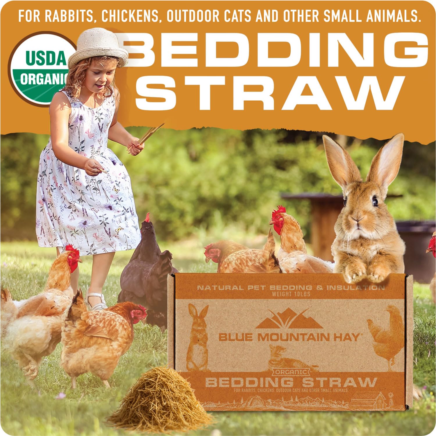 Blue Mountain Hay cage lining straw provides moisture control and cleaner habitats