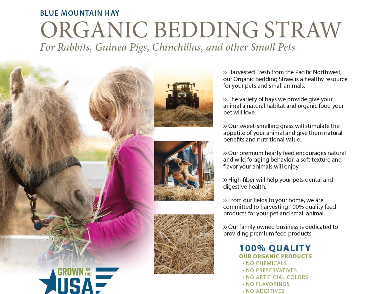 Blue Mountain Hay insulation straw supports goats and chickens during chilly days