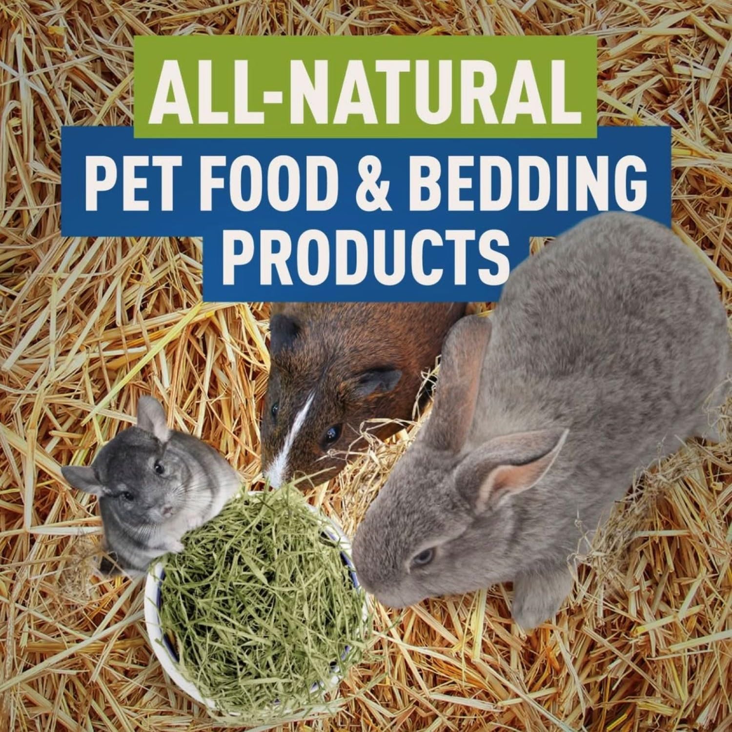 Blue Mountain Hay small-pet-nest material offers soft nesting for rabbits and guinea pigs.