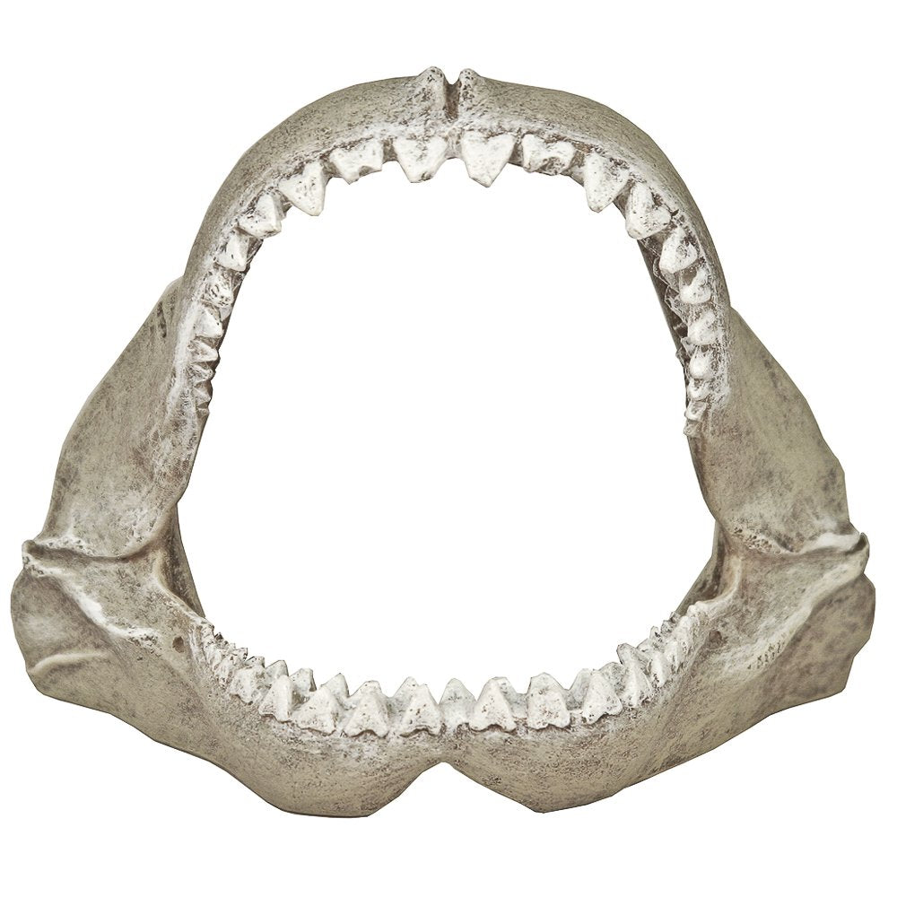 Blue Ribbon Exotic Environments Great White Shark Jaws small enhances aquarium realism and provides shelter for small fish.