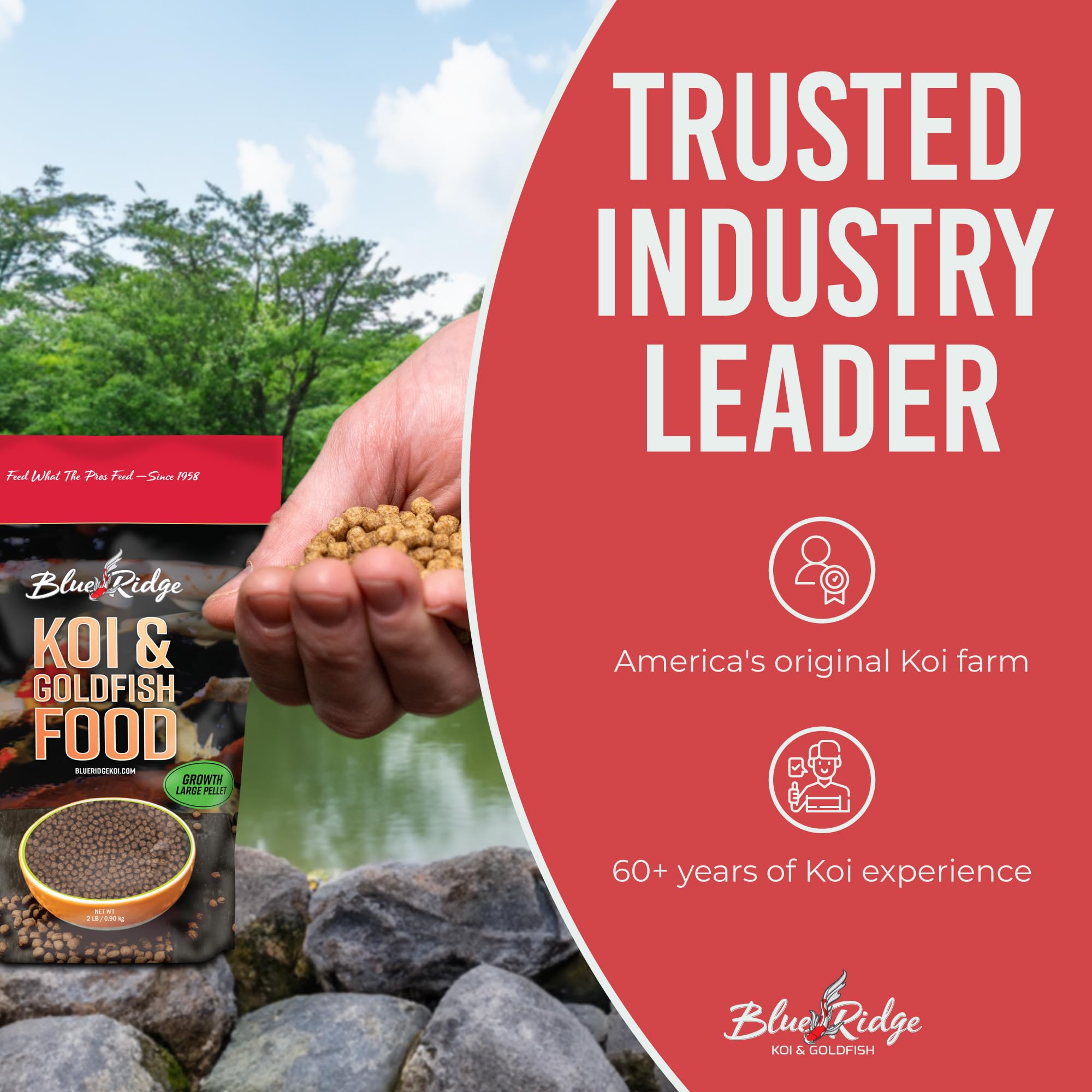 Blue Ridge Balanced nutrition for koi and goldfish health