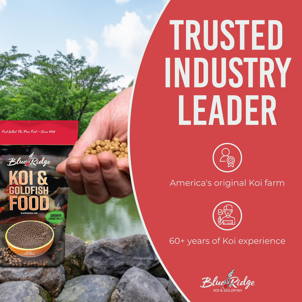 Blue Ridge Balanced nutrition for koi and goldfish health