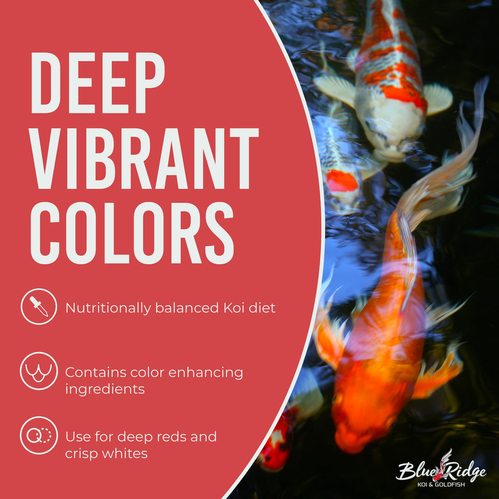 Blue Ridge canthaxanthin enriched pellets for vivid koi coloration